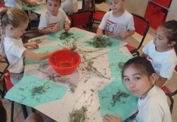 Nivel Inicial En el marco del cierre del proyecto didáctico Explorando aromas (1)