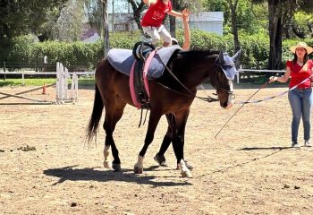 562106012_18196657570316573_6742064577860109761_n